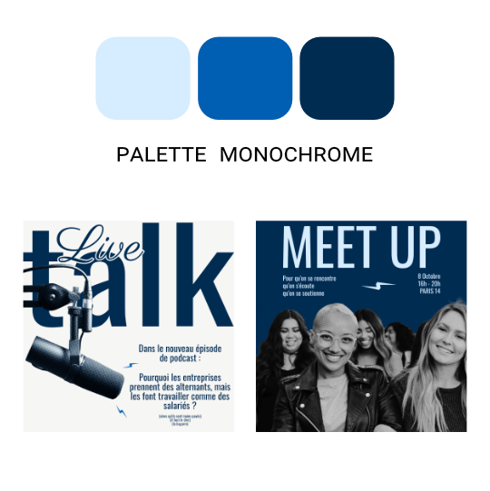Palette de couleurs Monochrome