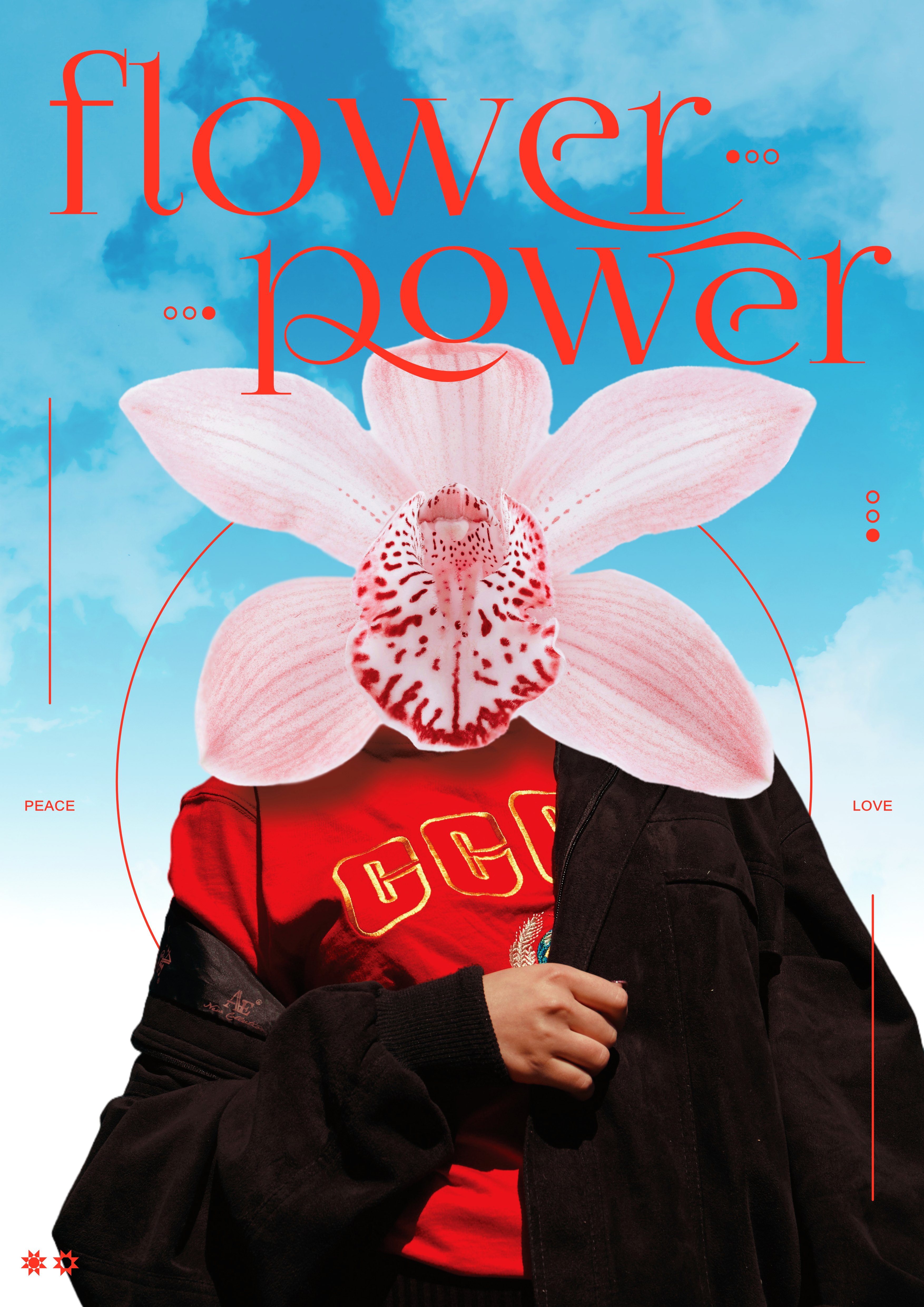 Flower Power poster